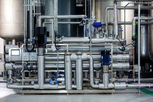 基因港百噸nmn工廠正式投產(chǎn), 銀發(fā) 經(jīng)濟增添新動力